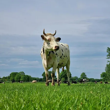 Alte Herrenhaus Auf Dem Bio-bauernhof * Kevelaer