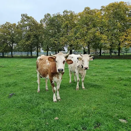 Alte Herrenhaus Auf Dem Bio-bauernhof *