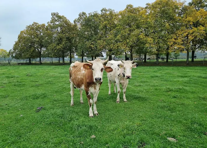 Alte Herrenhaus Auf Dem Bio-bauernhof *